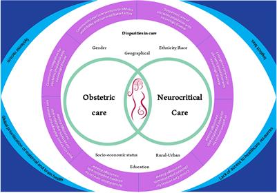 The landscape of disparities in obstetric neurocritical care and a path forward